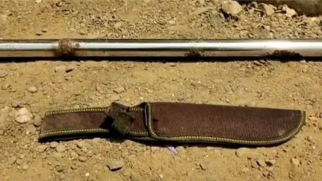 હત્યા કરવા માટે વપરાયેલ હથિયાર