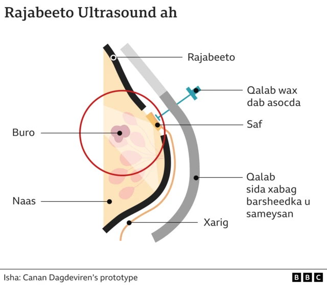 Yalangoch erotik videolarni tomosha qiling