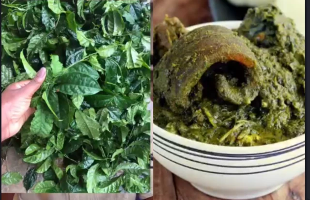 Ewé Marugbo àti ọbẹ̀ rẹ̀ lẹ́yìn í wọ́n sè é tán