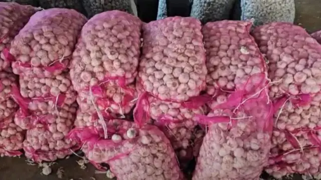 ગુજરાતમાં ચાઇનીઝ લસણનો વિરોધ, લસણ, રાજકોટ, ખેડૂતો
