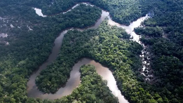 Foto aéreacasino legalum rio passando pela floresta 