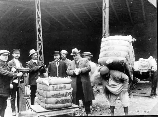 Пахтанинг йирик саноат сифатида шаклланиш тарихи Чор Россиясининг бугунги Ўзбекистон ерларини мустамлака қилишига бориб тақалади.