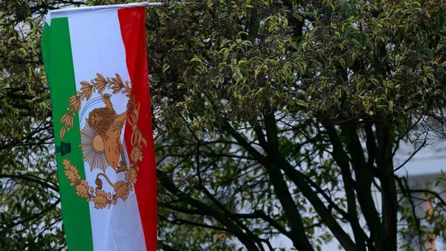 Флаг с изображением льва и солнца, используемый протестующими, на дереве возле иранского посольства в Лондоне в понедельник, 12 января 2026 года.