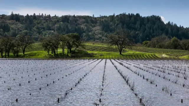паводок в Каліфорнії