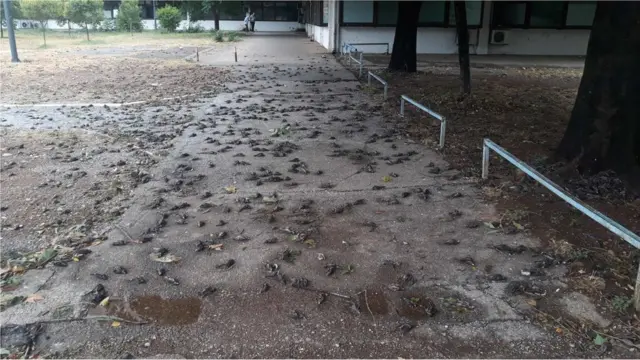 Podgorica, 4. avgust 2020.