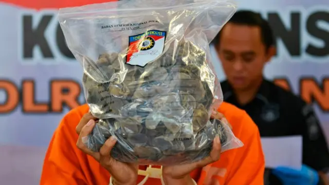 သင်းခွေချပ်ရဲ့အကြေးခွံကဆေးဘက်ဝင်ပြီးဈေးလည်း ကြီးပါတယ်။