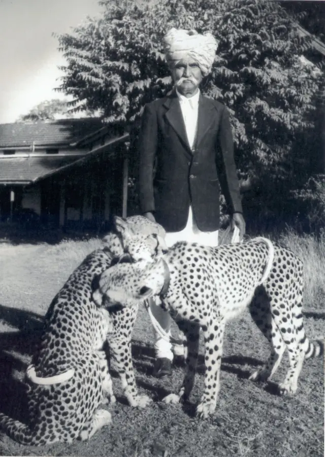 ਇਸਮਾਈਲ ਚਿਤੇਵਾਨ Cheetah Cheeta Kolhapur