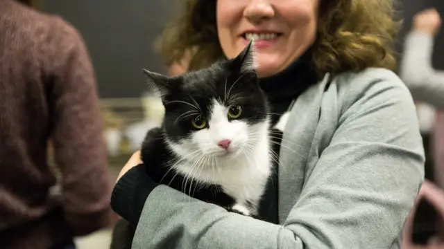 Мачка и нова власница