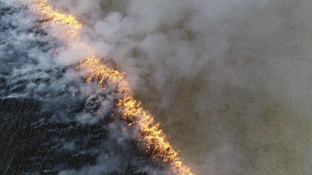 Степной пожар с высоты