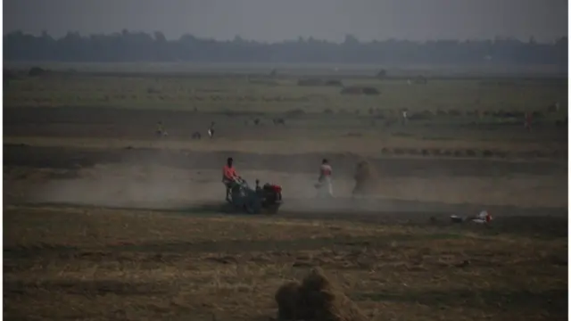 এখানকার মানুষের মূল পেশা কৃষি