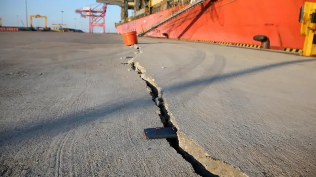 Una gireta en un muelle de Pohang
