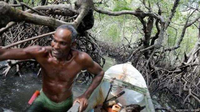 ਬ੍ਰਾਜ਼ੀਲ ਵਿੱਚ ਮੱਛੀ ਤੇ ਕੇਕੜੇ ਫੜਣਾ ਕਿਉਂ ਹੈ ਖ਼ਾਸ