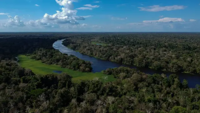 Amazônia