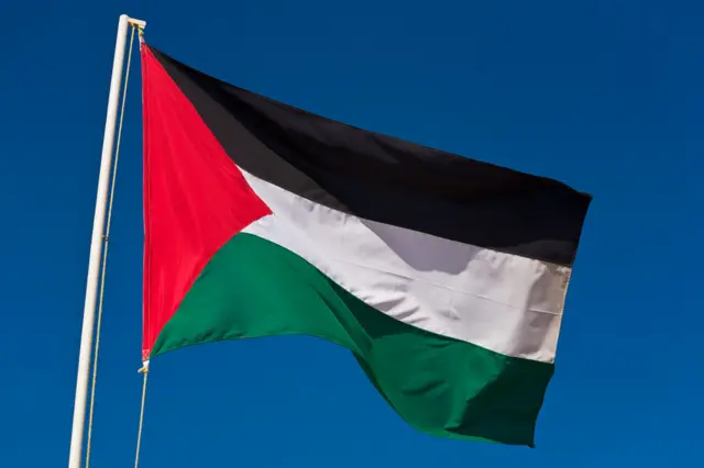 Bandeira da Palestina