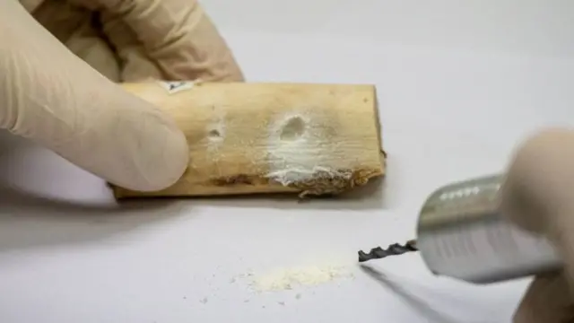 युक्रेन, रशिया