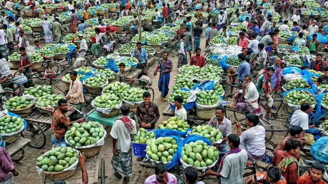 চাঁপাইনবাবগঞ্জের একটি আমের বাজার