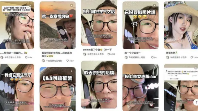 డాన్ గురించి లీసా వీడియోలు 