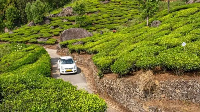 మున్నార్ (ప్రతీకాత్మక చిత్రం)