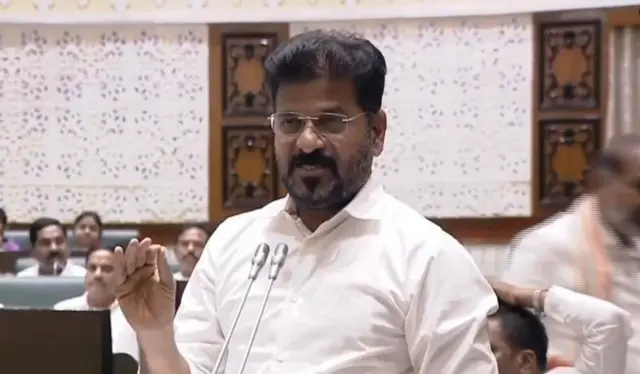 రేవంత్ రెడ్డి, తెలంగాణ