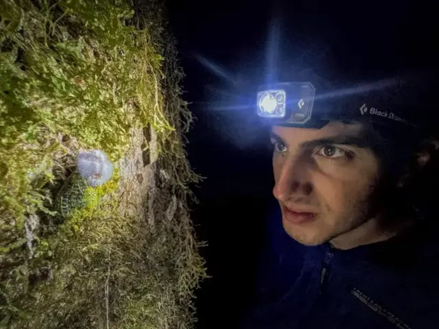 டைனோசர் காலத்து உயிரினம் கண்டுபிடிப்பு