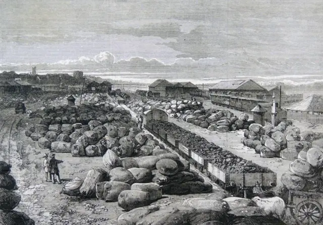 1864, मुंबईतून होणारी कापसाची निर्यात 