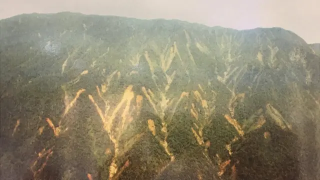Serra do Mar nos anos 1980