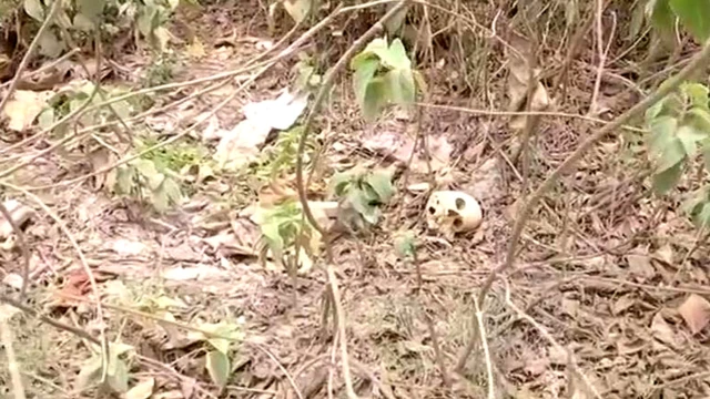 ਮਨੁੱਖੀ-ਪਿੰਜਰ