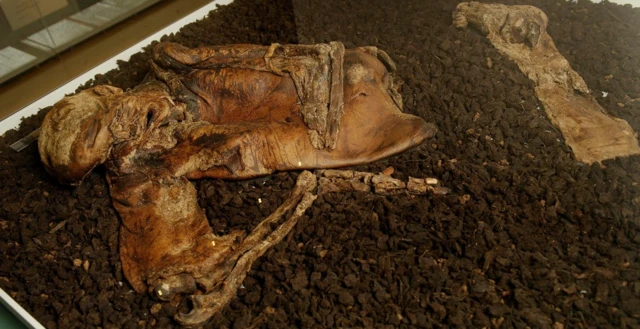 มัมมี่ตัวแบน