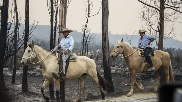 Chilenos en incendio