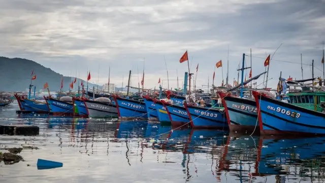 Tàu cá Việt Nam