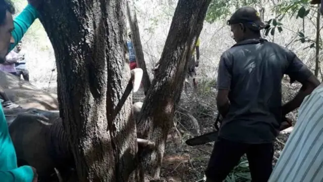 காப்பாற்றிய மக்கள்