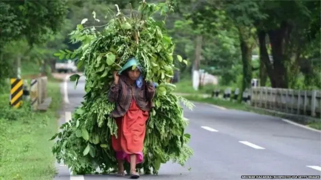 પૂર્વોત્તર ભારત