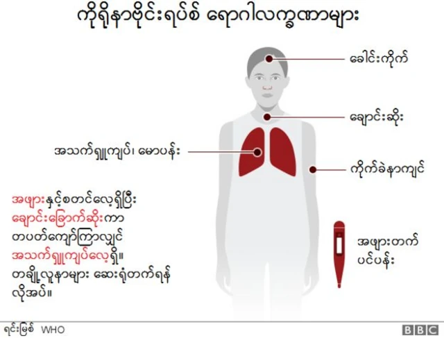ကိုရိုနာဗိုင်းရပ်စ် ရောဂါလက္ခဏာများ