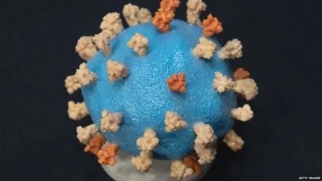 صورة مقربة لفيروس