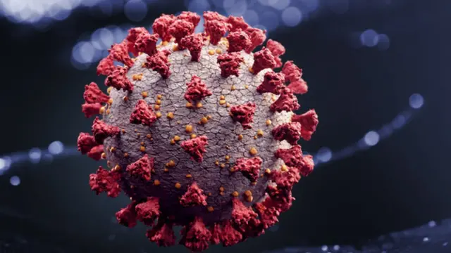 கொரோனா வைரஸ்