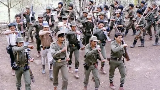 फार्क के लड़ाके