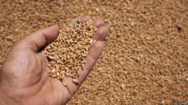 ਐੱਮਐੱਸਪੀ ਕਮੇਟੀ