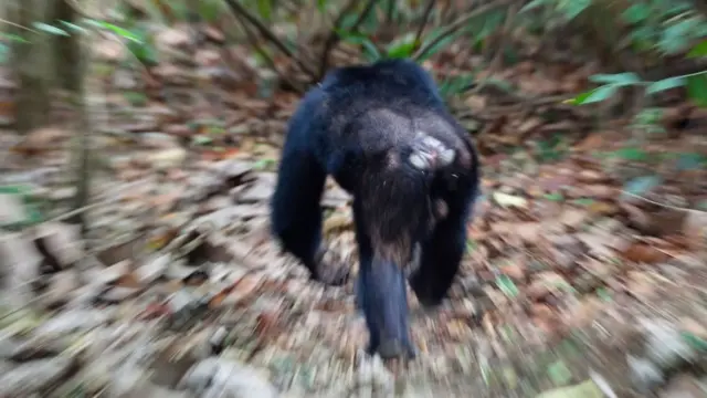 Існує безліч різних визначень "природи зла"