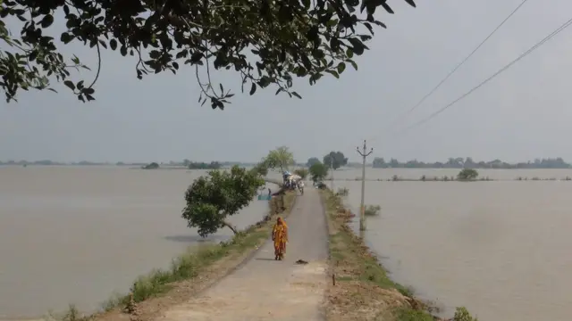 सिताब दियारा