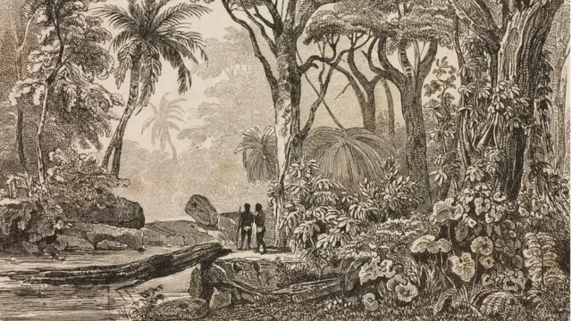 старинная гравюра