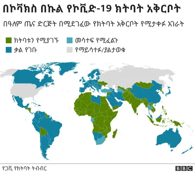 የጋቪ የክትባት ትብብር