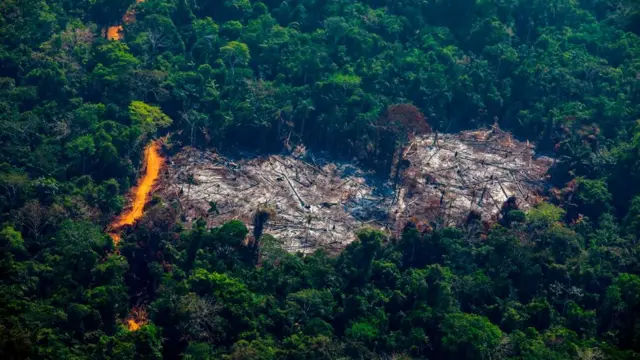 An aerial shot from 2019 of deforestation in the Amazon