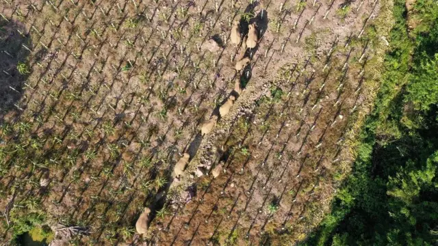 மக்கள் தொகை பெருக்கம்