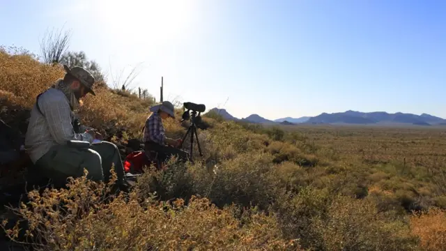 ஆண்ட்ரூ மற்றும் ஸ்டெஃப்பனி தாங்கள் ஆராய்ச்சி செய்யும் வனவிலங்குகளை பலமணி நேரமாக தேடுவதை வழக்கமாக கொண்டுள்ளனர்.
