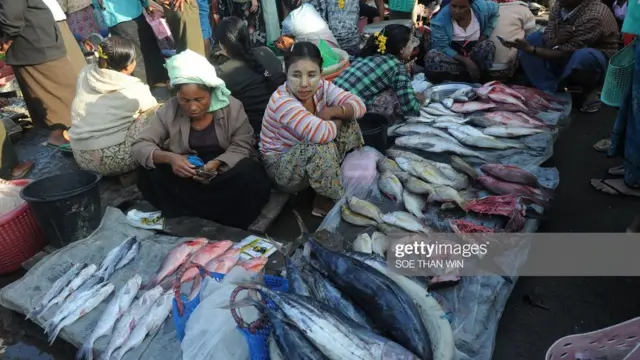 ငါးသယံဇာတ