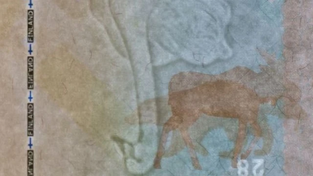 Basaboorrada qaar, sawirkan ayaa foorara