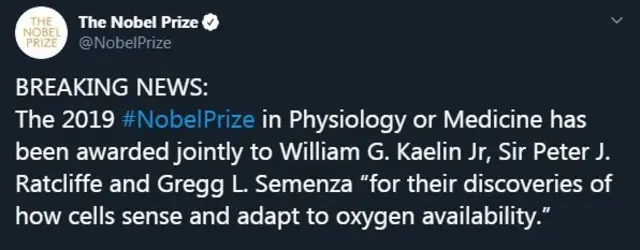 नोबेल पुरस्कार