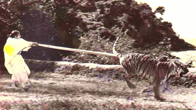 రేష్మా పఠాన్