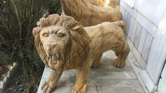 افغانستان