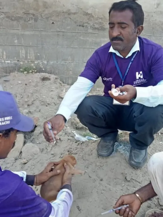 ریبیز سے بچاؤ